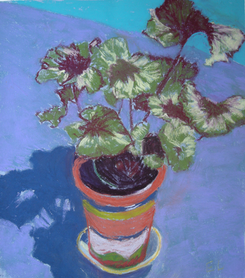 Still Life Paintings